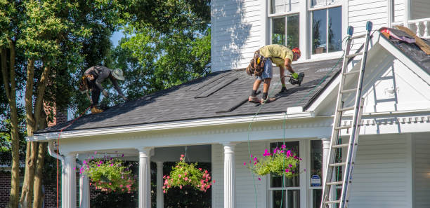Best Roof Gutter Cleaning  in Las Quintas Fronterizas, TX
